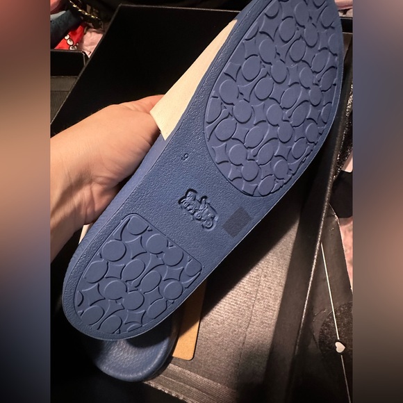 Coach slides - Picture 4 of 4